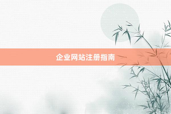 企业网站注册指南